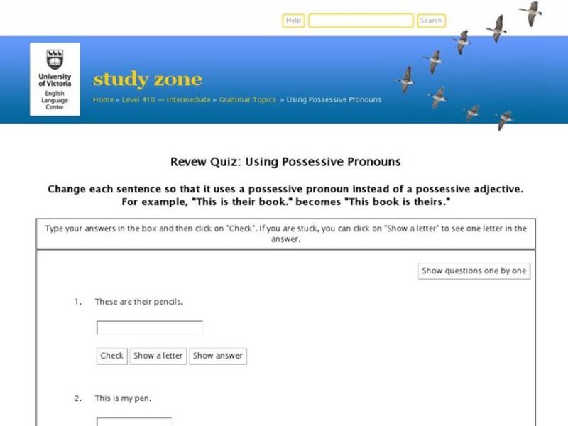 Self-Test Quiz:  Using Possessive Pronouns. Interactive