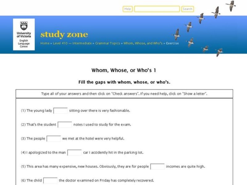 Whom, Whose, or Who's Interactive