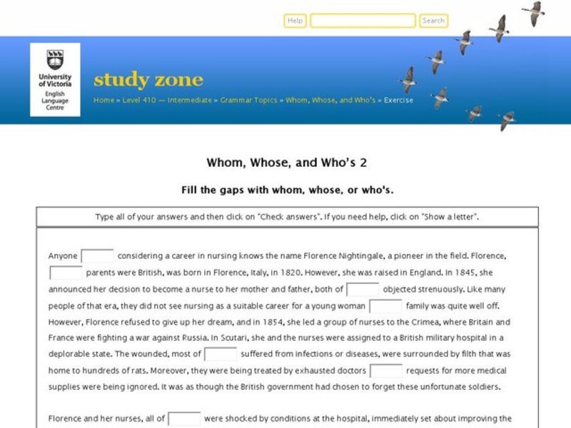 Whom, Whose, and Who's Interactive