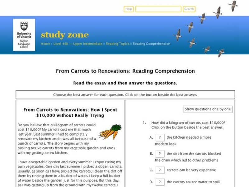 ESL: Reading Comprehension Activity Interactive