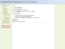 Discovering Insects Lesson Plan