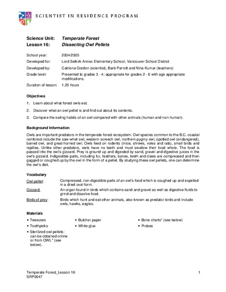 Dissecting Owl Pellets Lesson Plan