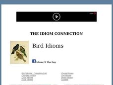 Idiom Quizzes - Birds Interactive