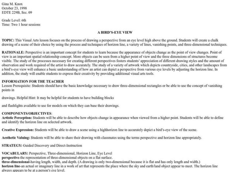 A Bird's-eye View Lesson Plan
