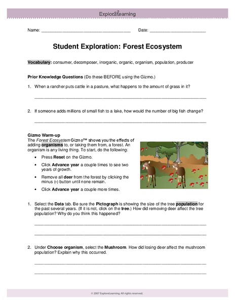 Student Exploration: Forest Ecosystem Interactive