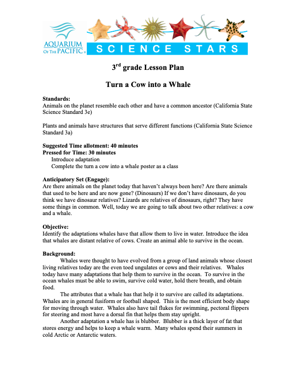 Turn a Cow into a Whale Lesson Plan