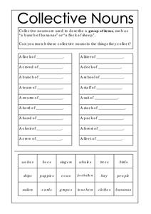 Division Problems Worksheet