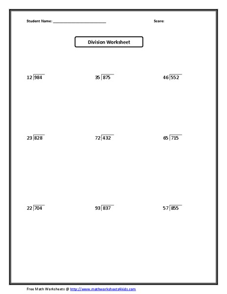 Division Worksheet Worksheet