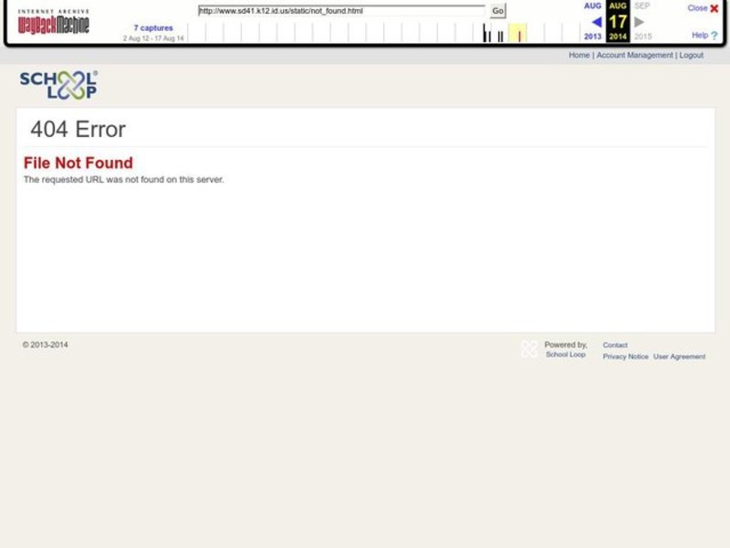 Division Worksheet Worksheet