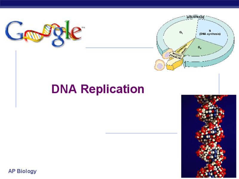 DNA Replication PPT