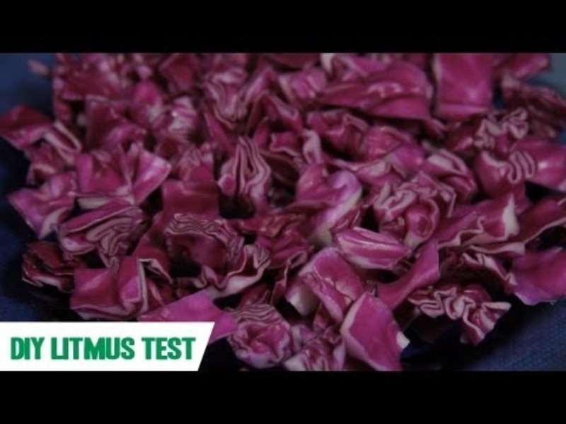 Litmus Test: SciShow Experiments Instructional Video