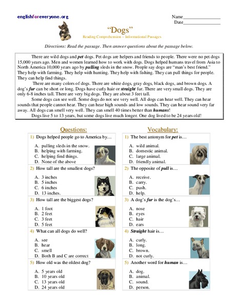 Dogs Worksheet