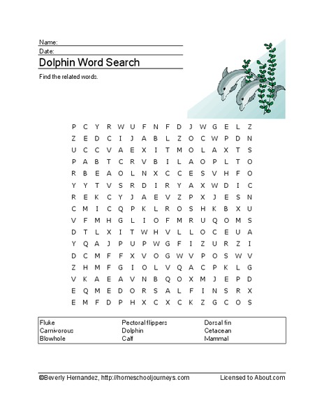 Dolphin Word Search Worksheet