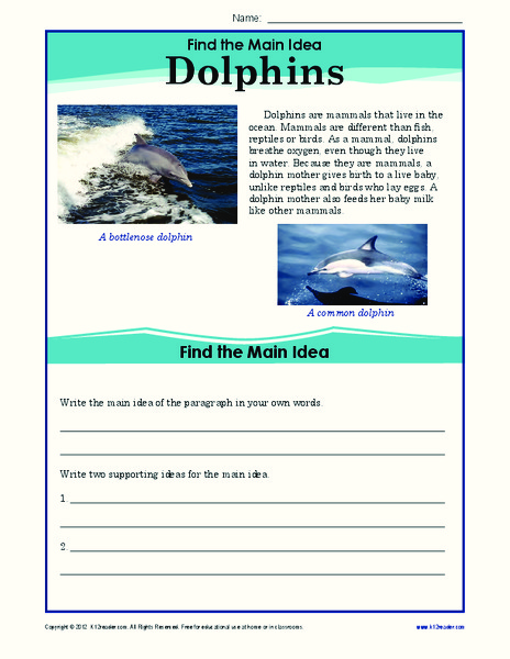 Dolphins Worksheet
