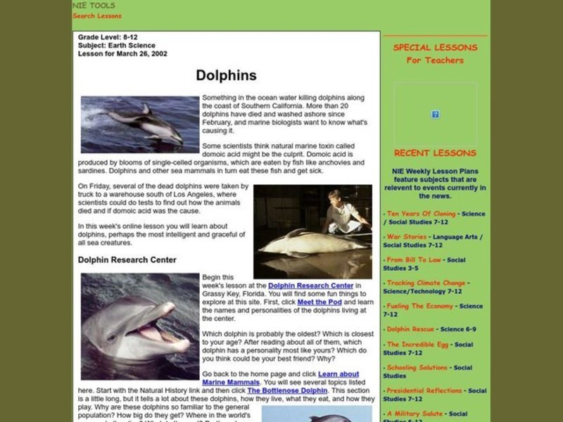 Dolphins Lesson Plan