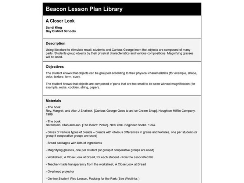 A CLOSER LOOK Lesson Plan
