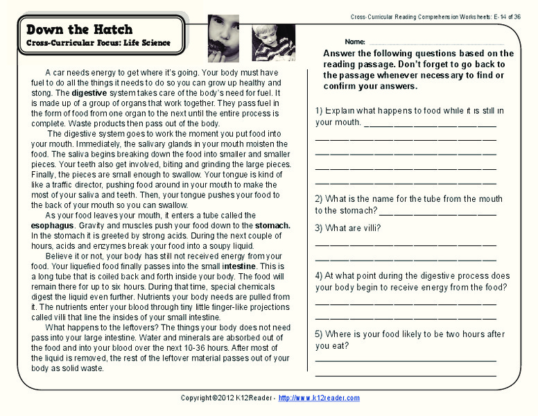 Down the Hatch Worksheet
