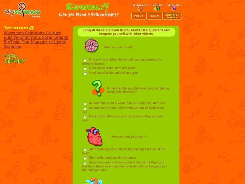 Curious Science: Stem Cells Interactive