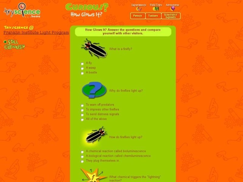 Curious Science: Fireflies Interactive