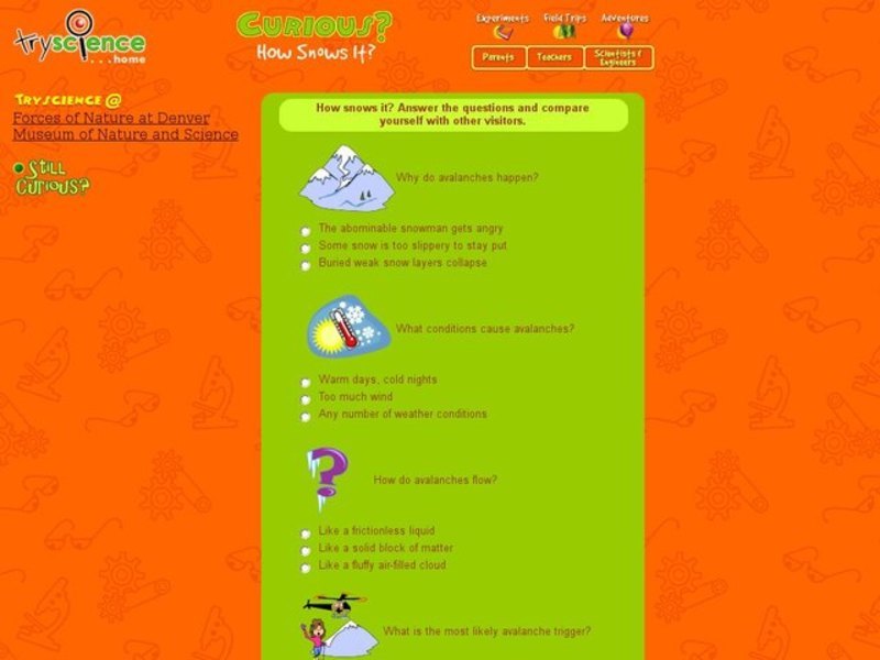 Avalanches Interactive