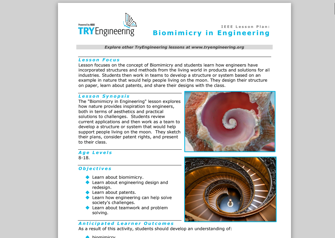 Biomimicry in Engineering Lesson Plan