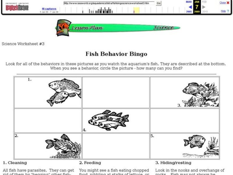 Fish Behavior Bingo Interactive