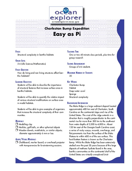 Easy as Pi Lesson Plan