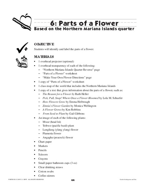 6: Parts of a Flower Lesson Plan