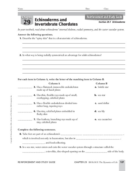 Echinoderms Worksheet