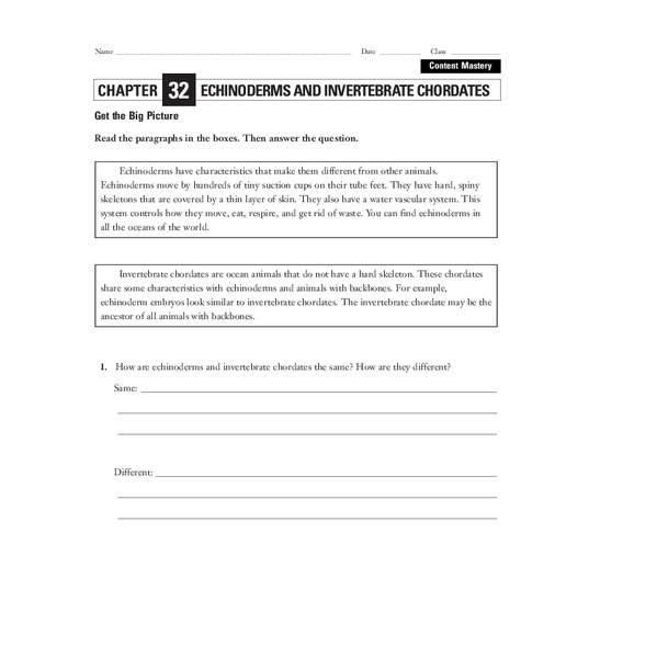 Echinoderms and Invertebrate Chordates Worksheet