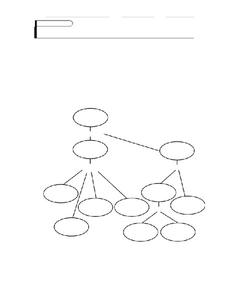 Echinoderms Organizer