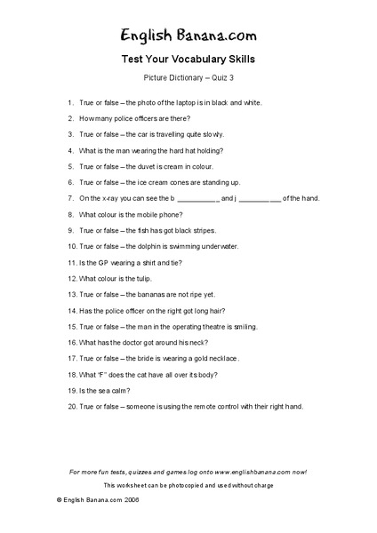 Picture Dictionary - Quiz 3 Worksheet