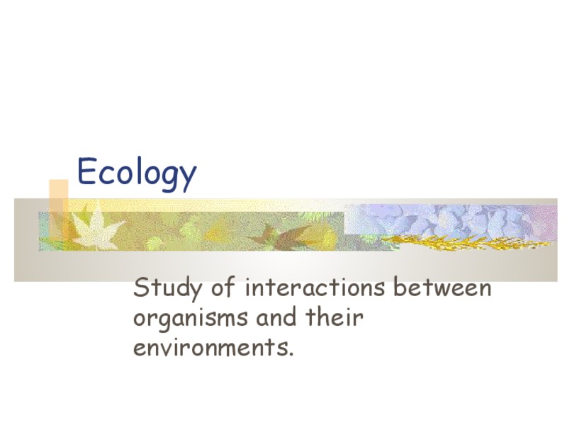 Ecology PPT