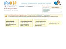 Ecosystem Terms Interactive