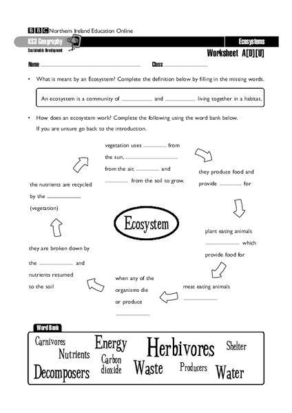 Ecosystems Worksheet