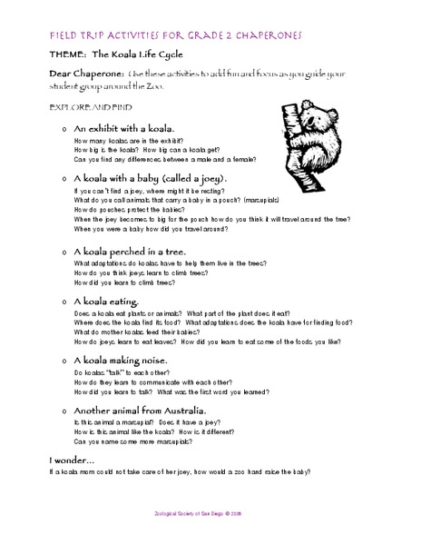 The Koala Life Cycle Lesson Plan