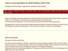 Finding the Shortest Distance Between The Spider and The Fly Worksheet