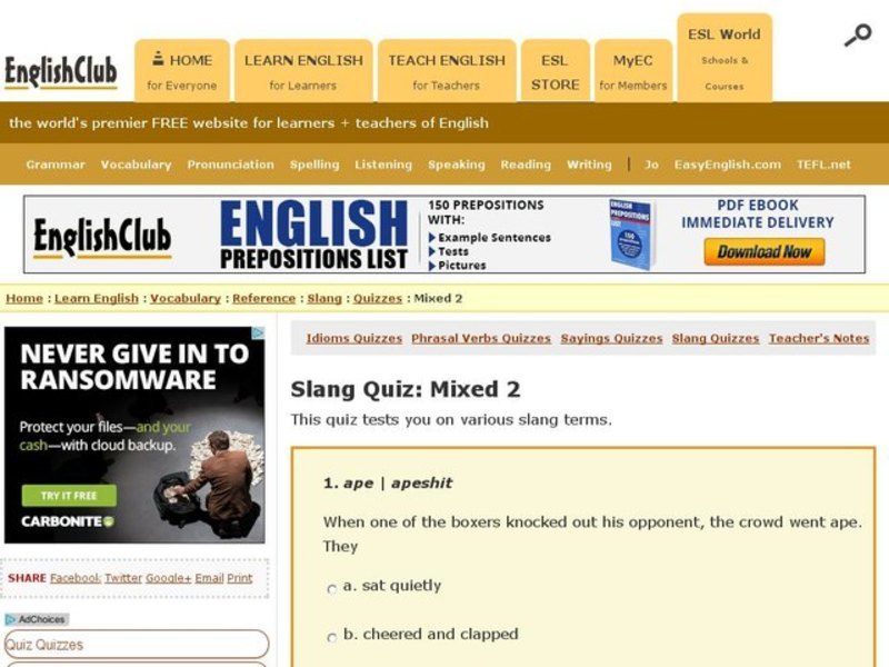 Slang Quiz: Mixed 2 Interactive