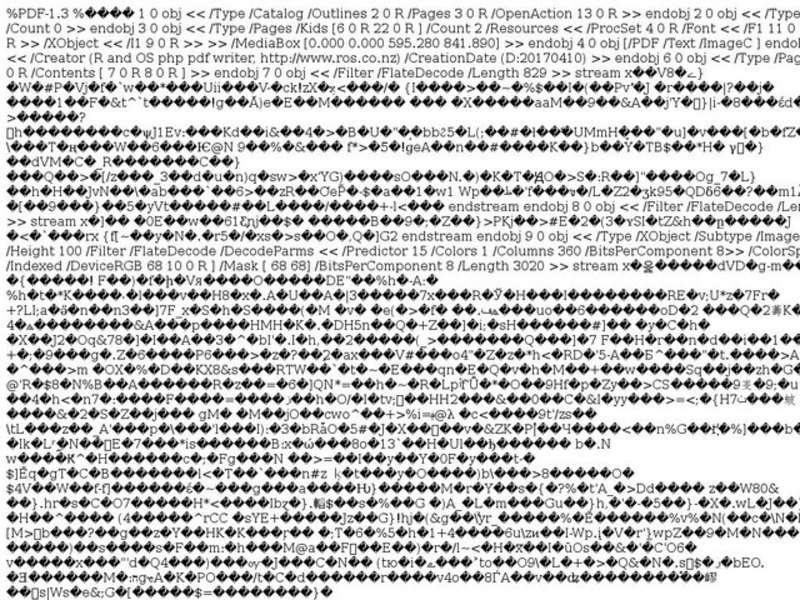 Writing an Essay -The Circulatory System Lesson Plan