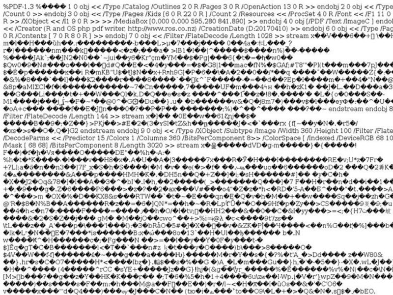 Caring for Pets - Hamsters Lesson Plan