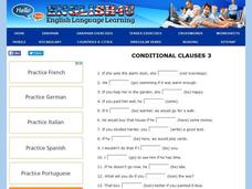 Conditional Clauses #3 Interactive