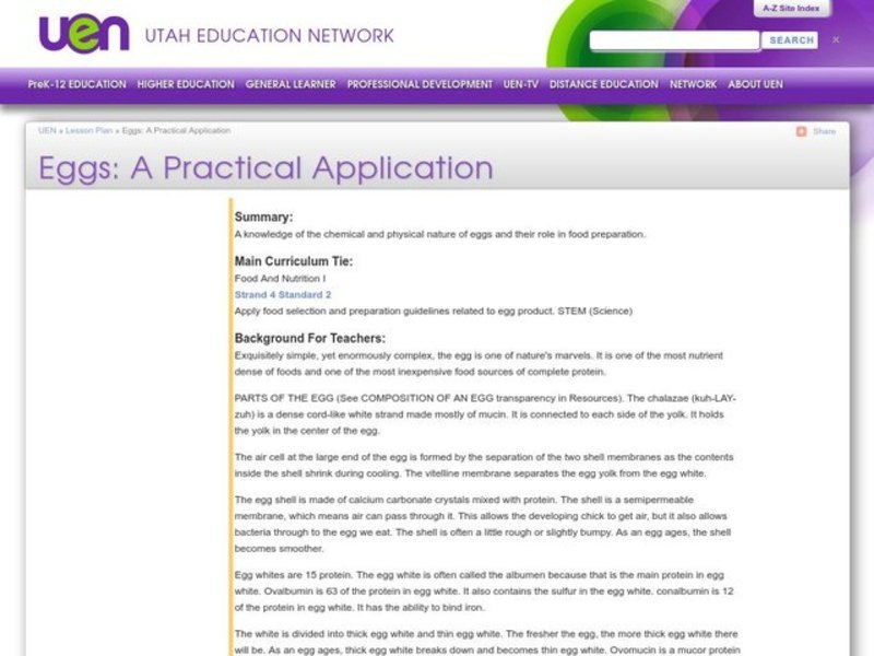 Eggs: A Practical Application Lesson Plan
