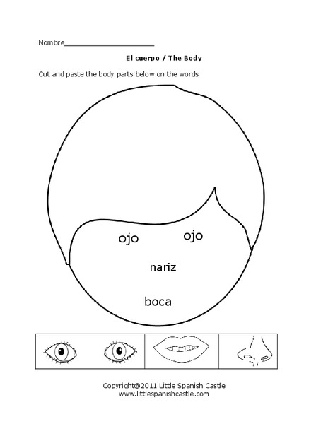 El cuerpo/ The Body Worksheet