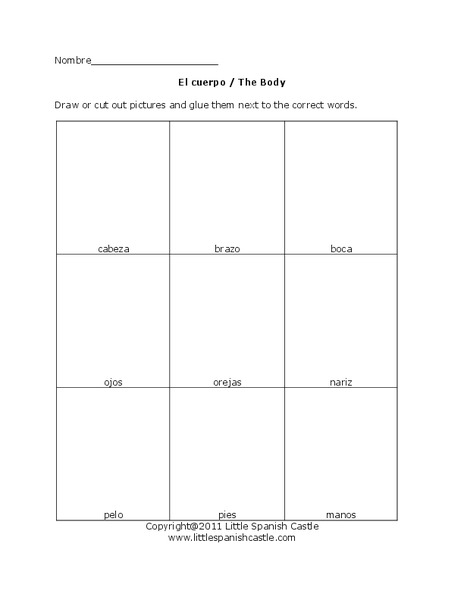 El cuerpo/ The Body  Organizer