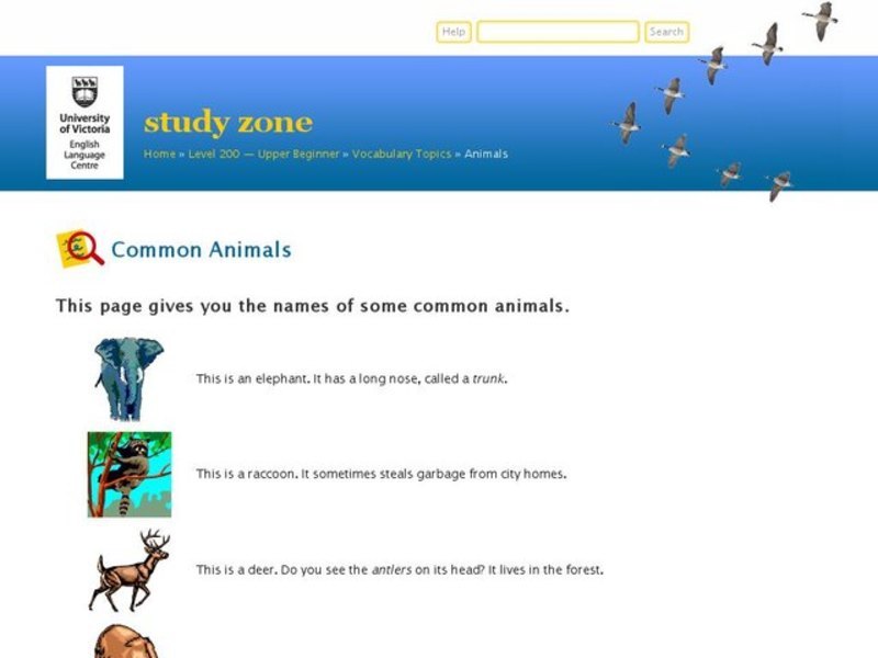 Common Animals Worksheet