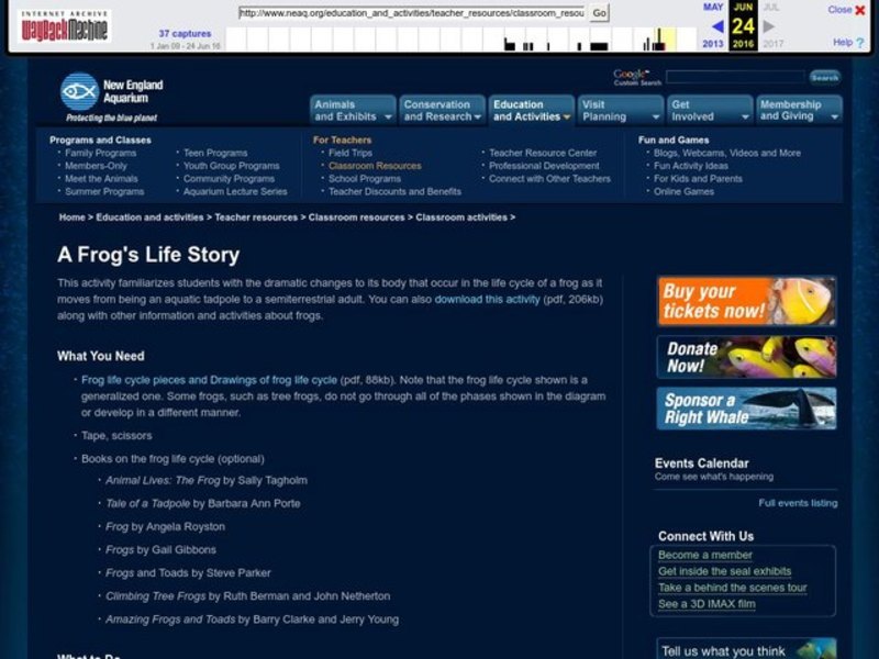 A Frog's Life Story Lesson Plan