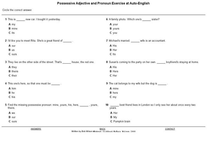 Possessive Adjective and Pronoun Exercise Worksheet