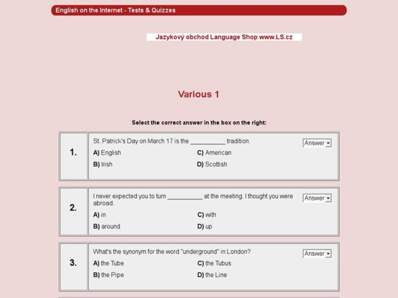Vocabulary Review #1 Interactive