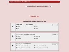ESL Vocabulary Multiple Choice #14 Interactive