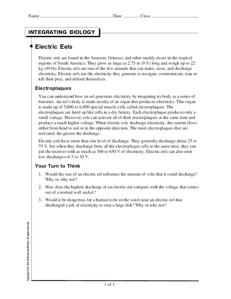 Electric Eels Worksheet